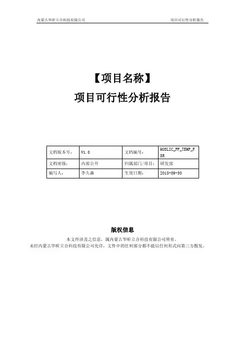 项目可行性分析报告