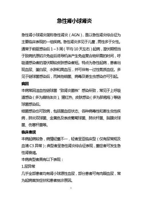 急性肾炎 2