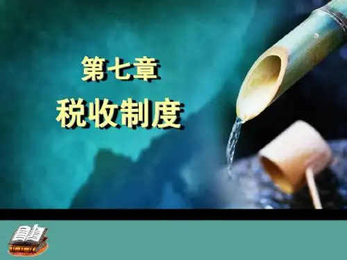 第七章 税收制度