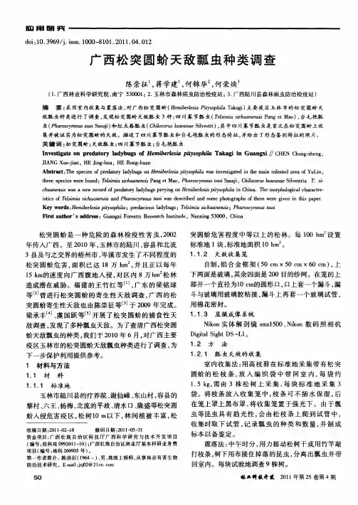 广西松突圆蚧天敌瓢虫种类调查