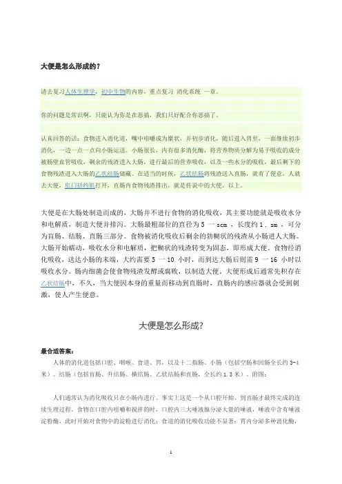 大便是怎么形成的？