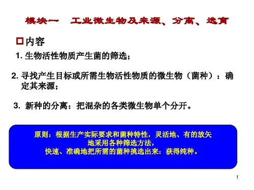 (推荐)《工业微生物及来源》PPT课件