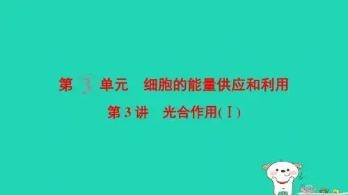 (全国版)2019版高考生物一轮复习第3单元细胞的能量供应和利用第3讲光合作用Ⅰ课件