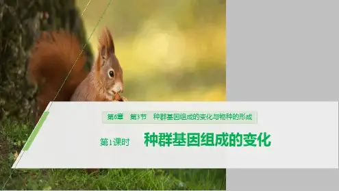 种群基因组成的变化与物种的形成 生物的进化第1课时种群基因组成的变化