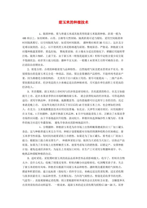 甜玉米的种植技术