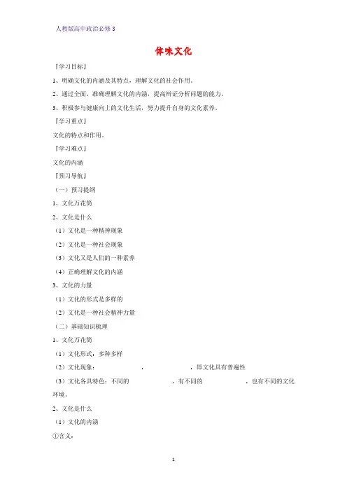 高中政治必修3精品学案20：1.1 体味文化
