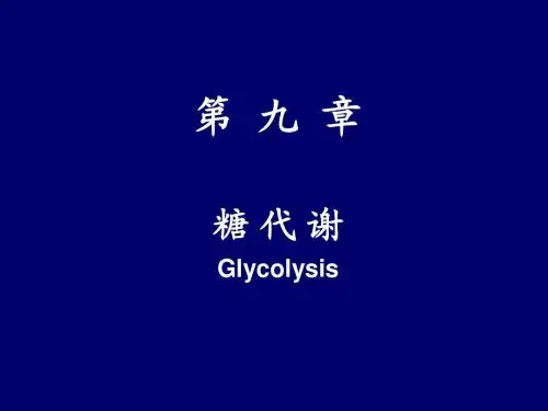 第__九__章_糖代谢