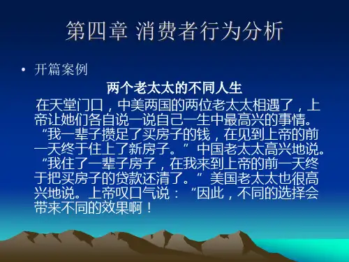 消费者行为分析4