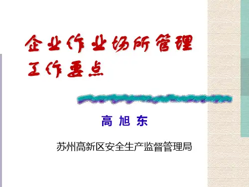 企业作业场所管理工作要点(新区安监高旭东)