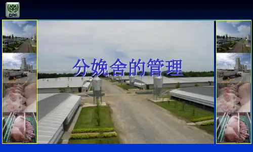分娩舍的管理