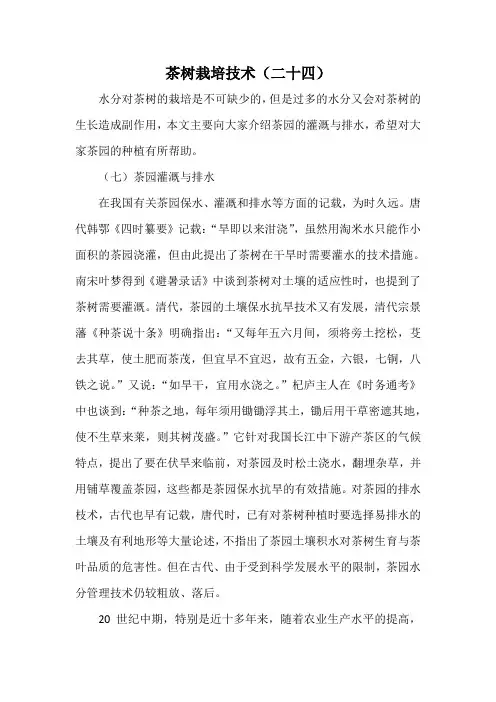 茶树栽培技术(二十四)