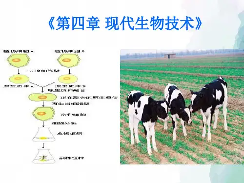 冀少版-生物-八年级下册-《第四章 现代生物技术》课件