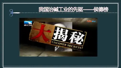 九年级初三化学下册常见的盐 碳酸钠与碳酸氢钠