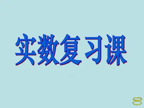 实数总复习