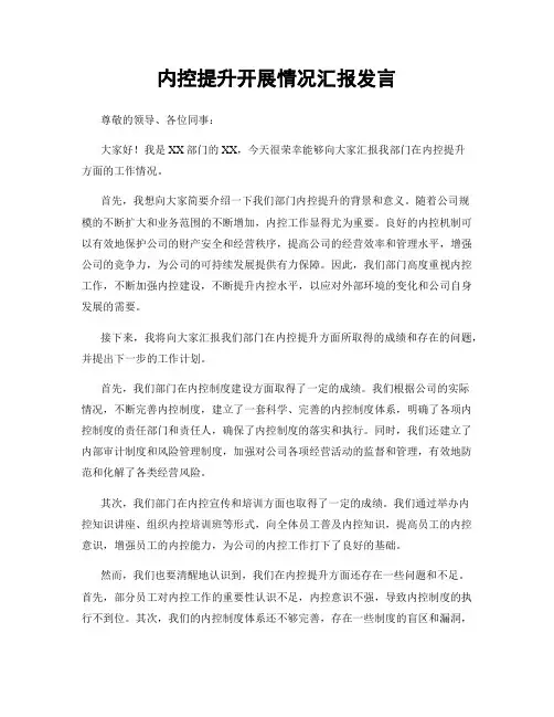 内控提升开展情况汇报发言
