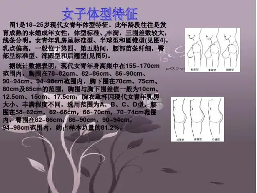 女子体型特征