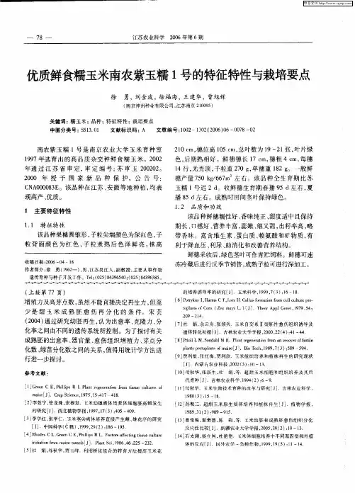 优质鲜食糯玉米南农紫玉糯1号的特征特性与栽培要点