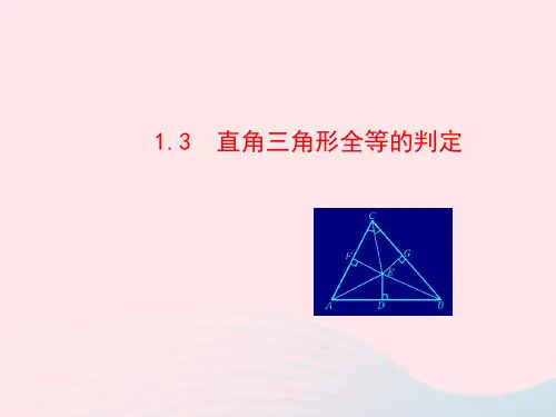 八年级数学下册第1章直角三角形1.3直角三角形全等的判定教学课件新版湘教版