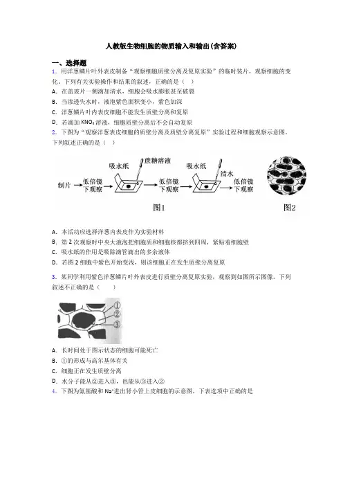 人教版生物细胞的物质输入和输出(含答案)