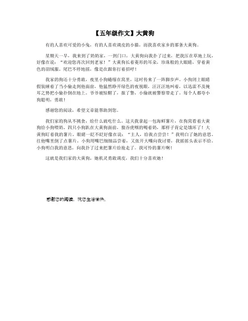 【五年级作文】大黄狗