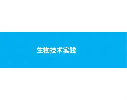 高考第二轮复习生物专题14 生物技术实践课件