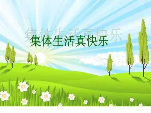 泰山版品德与社会四年级集体生活真快乐 (1)