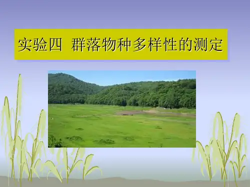 实验四 群落物种多样性的测定