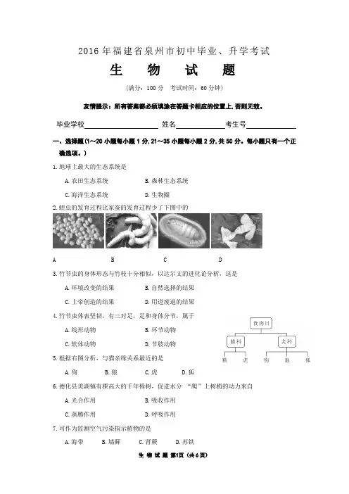 2016年福建省泉州市初中毕业、升学考试(生物试卷)