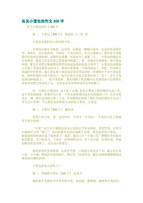 有关小笼包的作文300字
