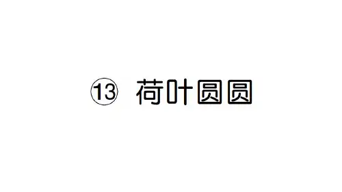 13 荷叶圆圆PPT课件