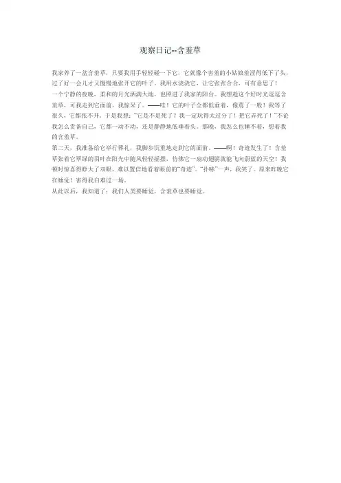 观察日记--含羞草