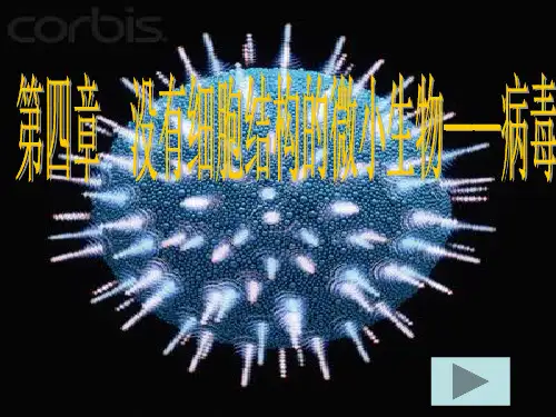 初中生物课件病毒经典.ppt