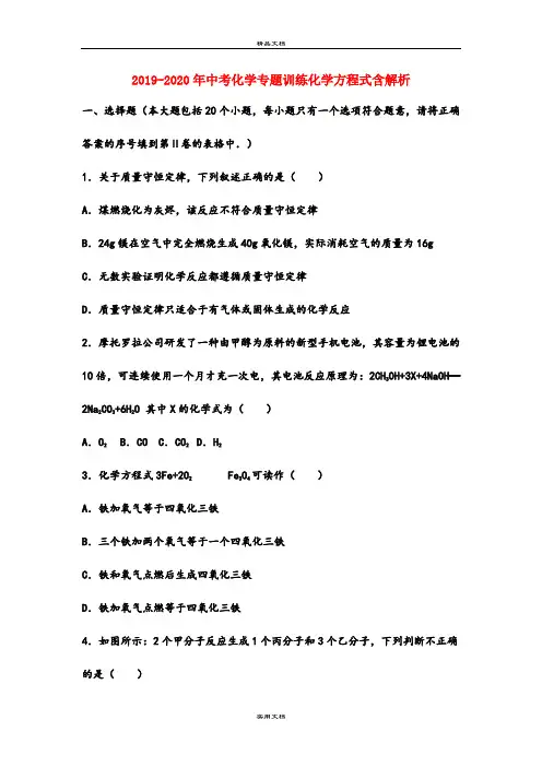 中考化学专题训练化学方程式含解析