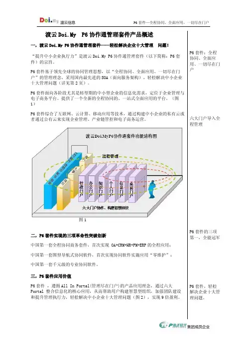 P6套件功能与应用概要