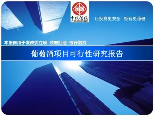 葡萄酒项目可行性报告