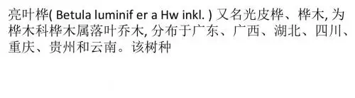 亮叶桦育苗与造林技术