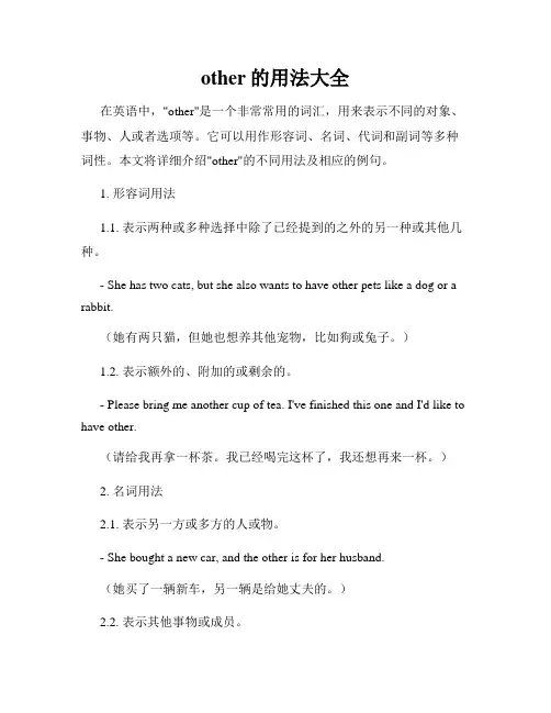 other的用法大全