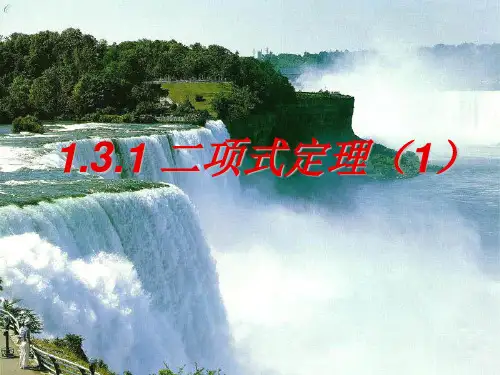 1.3.1 二项式定理(第一课时)