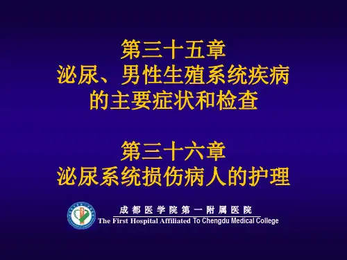 泌尿系疾病病人的护理总论1 PPT课件