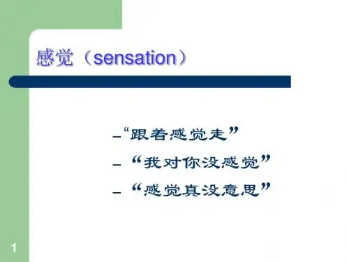 第三讲 感觉