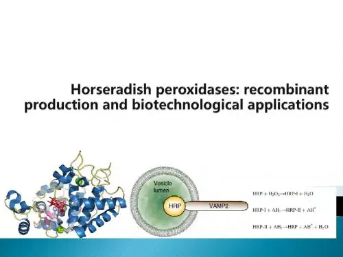 Horseradish peroxidases