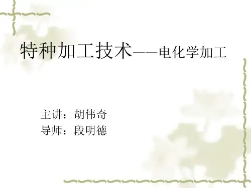 电化学加工(胡伟奇)