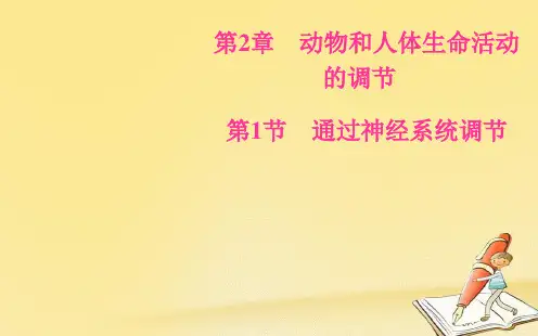 2018-2019生物必修3(人教版)课件：第2章第1节通过神经系统调节