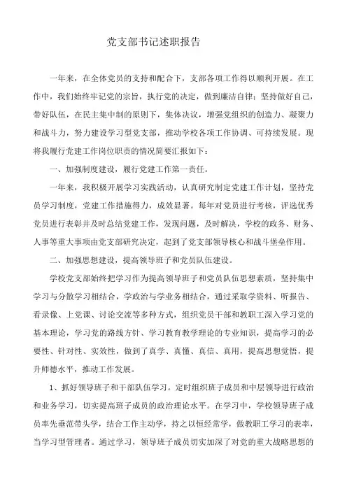 党支部书记述职报告 2