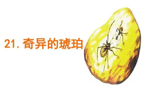 【语文S版】六年级上册语文课件:21 奇异的琥珀 (共15张PPT)