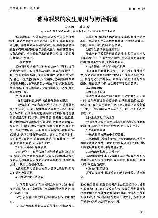 番茄裂果的发生原因与防治措施