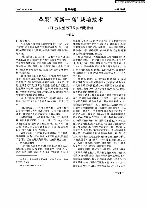 苹果“两新一高”栽培技术——(四)拉枝整形及果实后期管理