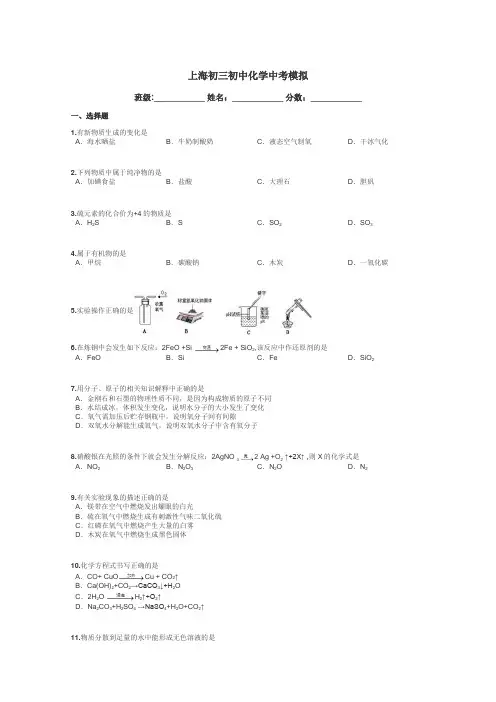 上海初三初中化学中考模拟带答案解析
