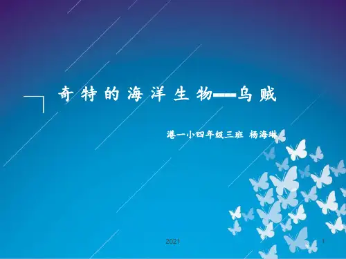 本领奇特的乌贼PPT课件