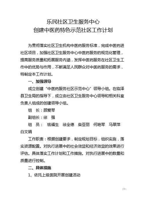 中医药服务示范中心工作计划
